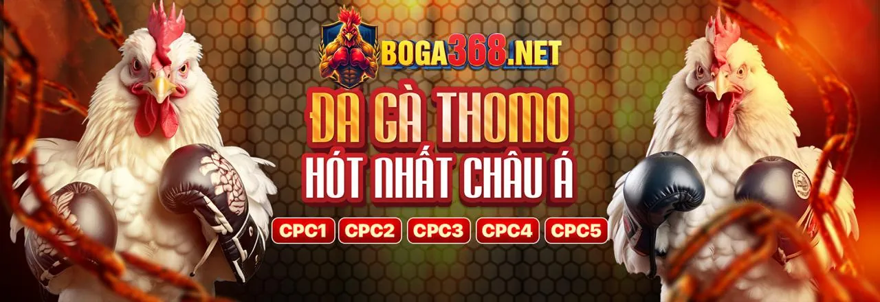 Quản lý tài khoản cá nhân và các lợi ích độc quyền của 1xBet VIP